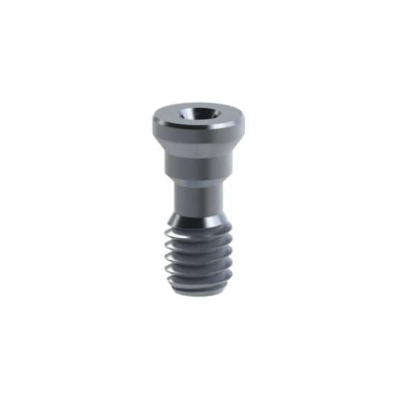 Straight Screw ø5.1 Compatible with Nobel Brånemark® Hex Wide