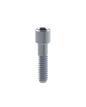 Straight Screw ø3.0 Compatible with Astra® Osseospeed™