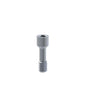 Straight Screw Compatible with Biohorizons® Tapered Internal