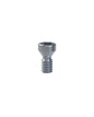 Straight Screw TORX Compatible with Straumann® SRA 4.6