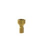 Biaxial Screw Compatible with Straumann® SRA 4.6
